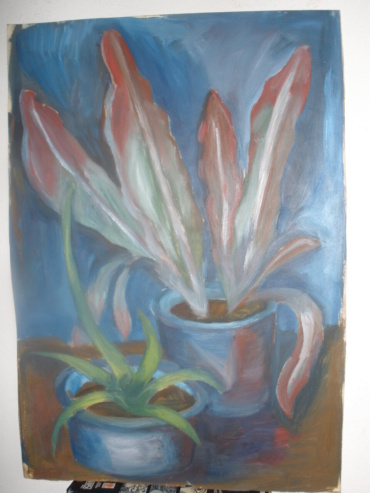Gallery item